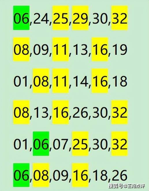 揭秘数字背后的秘密，最准一肖一码一一子中特9755背后的犯罪问题