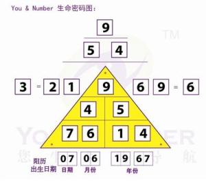 十二生肖与2024年，解读49个码背后的神秘文化