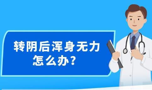 新澳精准资料免费提供，探索第265期的奥秘与价值