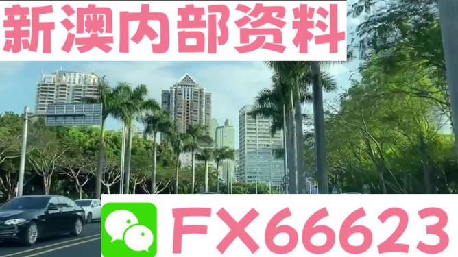 新澳精准资料免费提供，探索第221期的独特价值