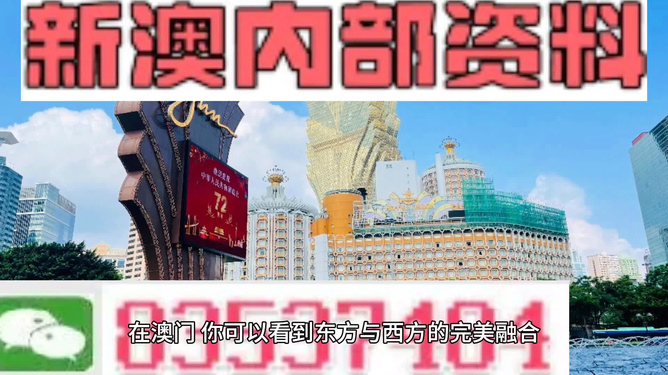 新澳2024正版资料免费公开，探索未来的关键资源