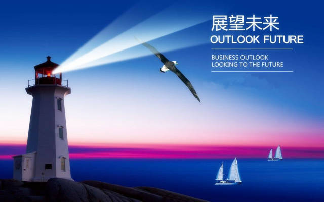 迈向公开透明，2024正版资料免费公开的未来展望