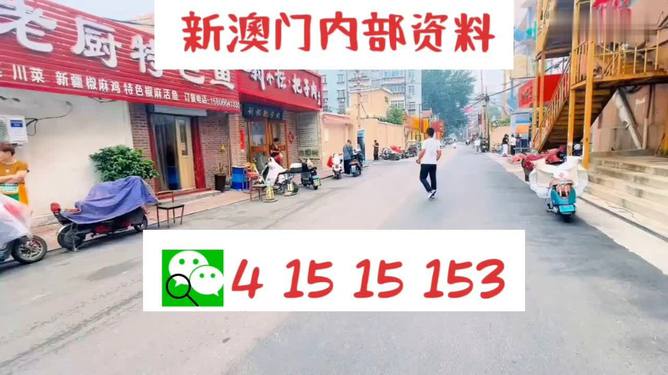 新2024年澳门天天开好彩，探索彩票文化与社会影响