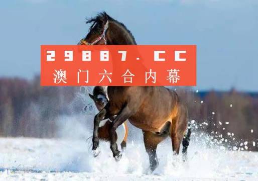 澳门一肖一码一特一中云骑士，探索神秘世界的指引者