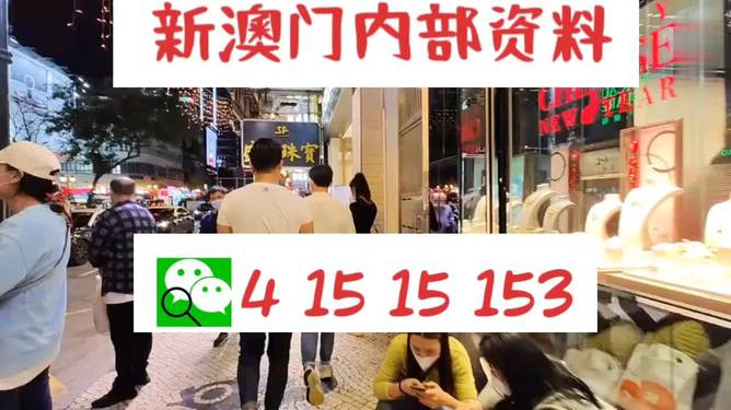 新澳门特免费资料大全与管家婆料，探索与解析